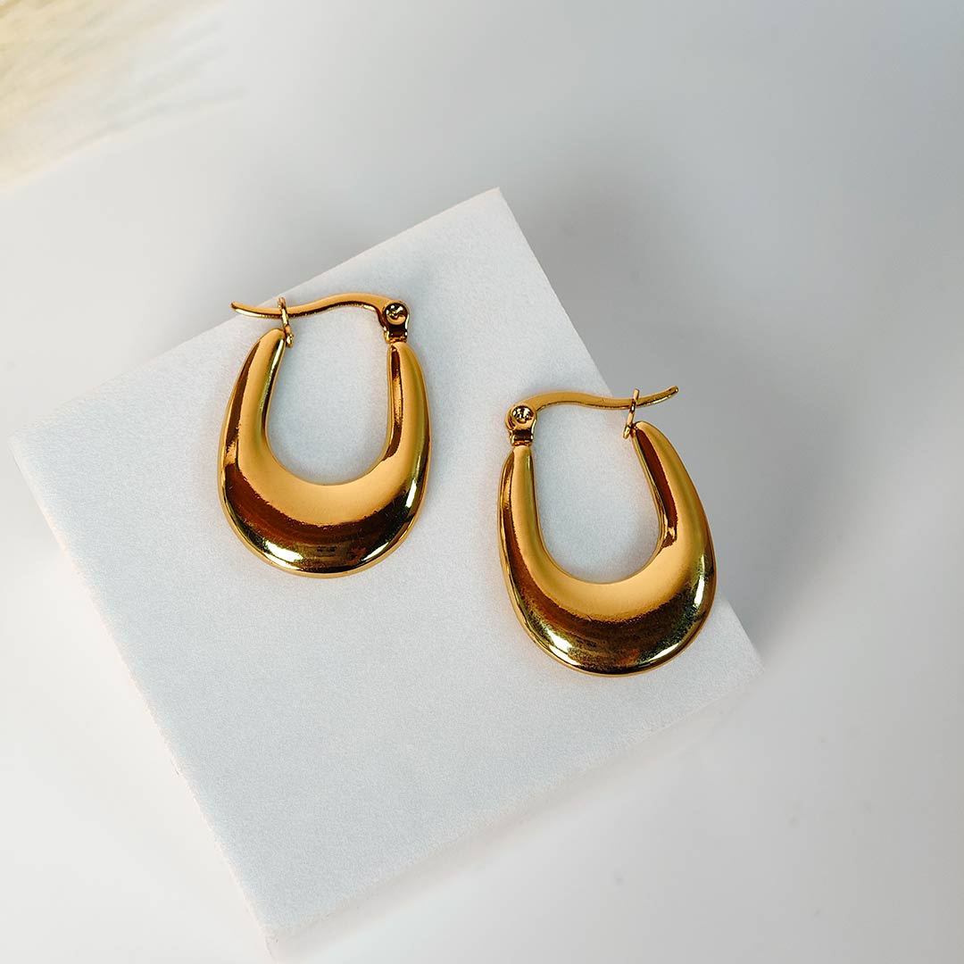 Ridhvika Gold plated Hoops Earings