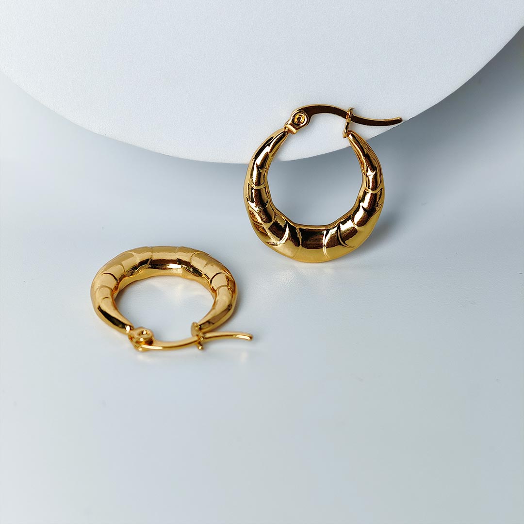 Dhivisha Gold plated Hoops Earings